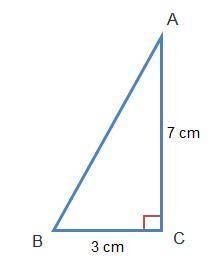 What is the length of the hypotenuse of the triangle? √ 20 cm √ 23 cm √ 40 cm √ 58 cm