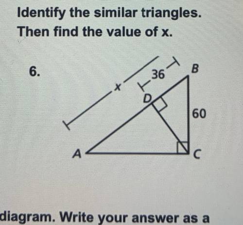 Identify the similar triangles. find x