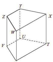 Use the diagram below to answer the following questions. Name all segments parallel to XT.  Name all