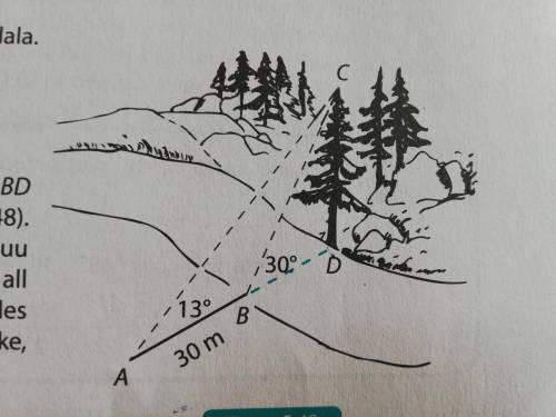 Using the law of sines, calculate how wide is the river and how high is the tree