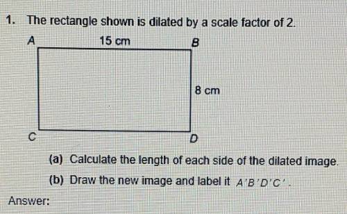 The rectangle shown is dilated by a scale factor of 2. ( Need Help). Will Mark Brainliest