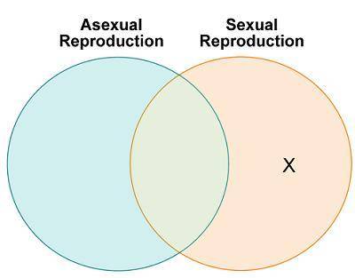 Amelia makes a Venn diagram to compare the advantages and disadvantages of asexual reproduction and