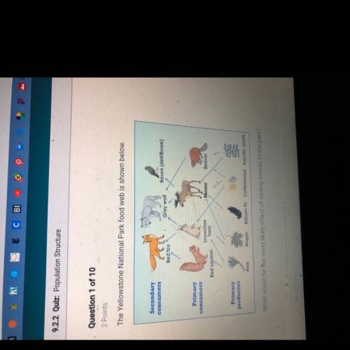 The Yellowstone National Park food web is shown below. What would be the most likely effect of addin