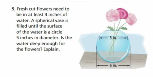 Fresh cut flowers need to be in at least 4 inches of water. A spherical vase is filled until the sur