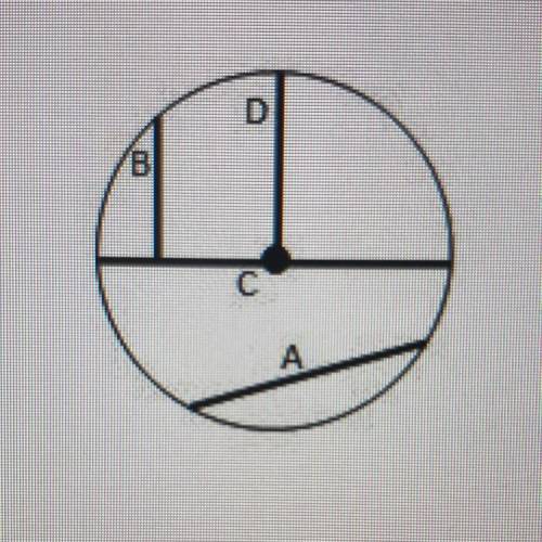 Which segment represents the diameter of the circle? A B C D