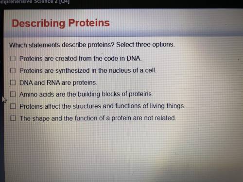 Which statements describe proteins? Select three options.