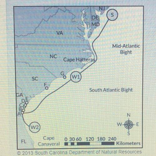 The following diagram shows the seasonal migration of loggerhead turtles. the lettered circles repre