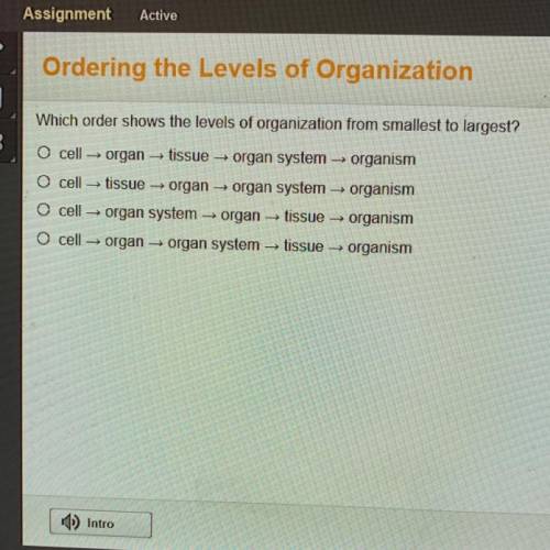 Which order shows the levels of organization from smallest to largest