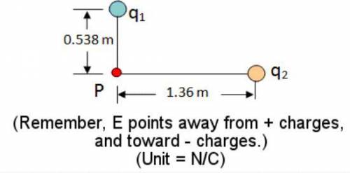 In the diagram, q1 = -2.60*10^-9 C and q2 = -8.30*10^-9 C. Find the magnitude of the net electric fi