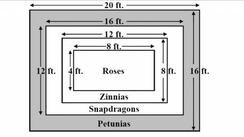The diagram below shows an arrangement of flowers and the measurements that a gardener has taken. a.