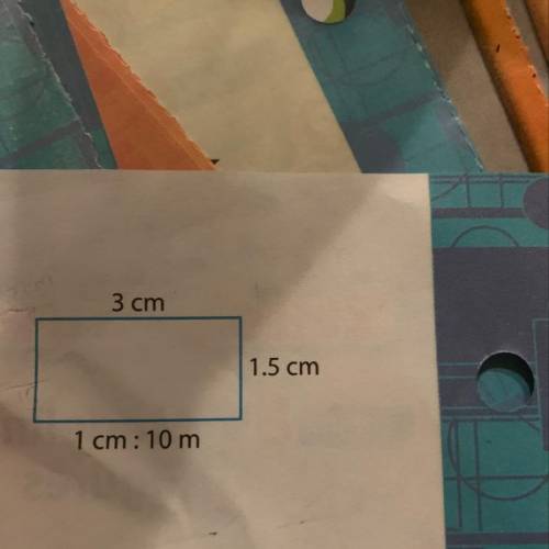 In the scale drawing of a park, the scale is 1cm: 10m. Find the area of the actual park.