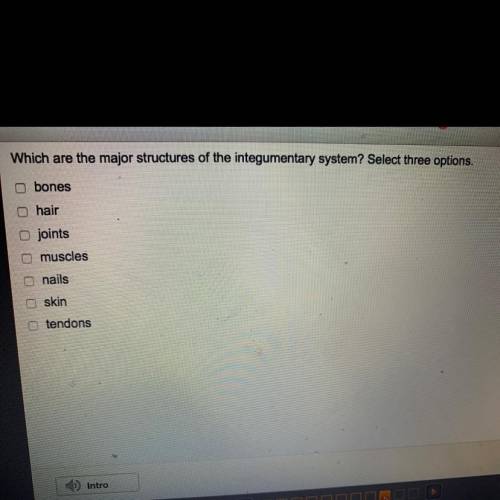 What are the major structures of the integumentary system? select three options.  (view photo)  A) B