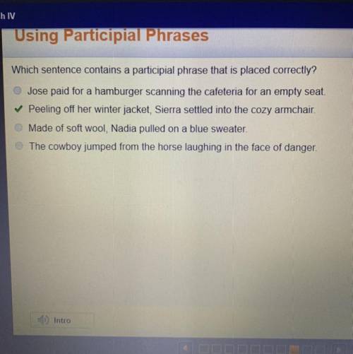 Which sentence contains a participial phrase that is placed correctly?