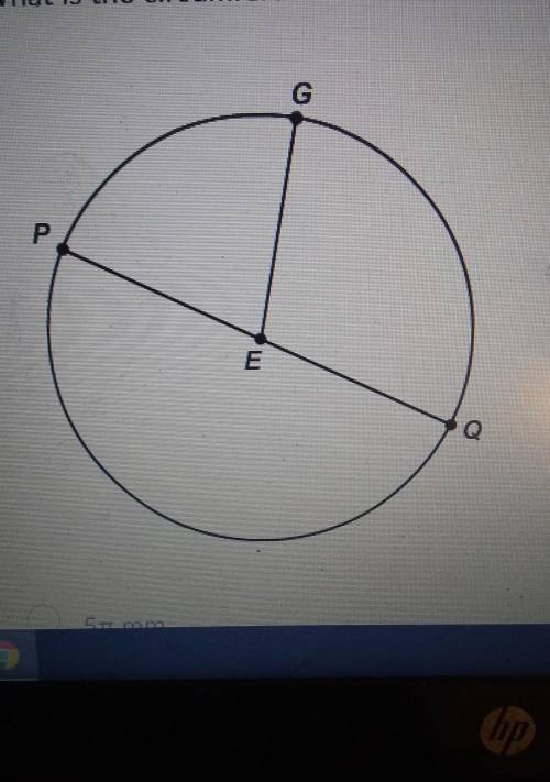 What is the circumference of circle E if EG=5 mm?