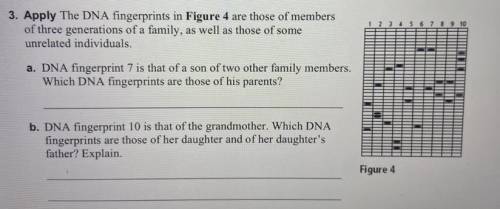 I need help on part a. & b. of question #3 ASAP