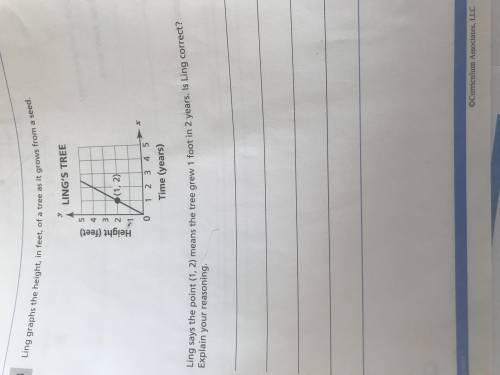 What is the answer and can you explain below attachment