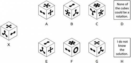 All the cubes below have a different image on each side. Select the choice that represents a rotatio