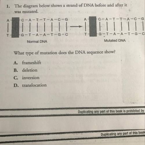 1. The diagram below shows a strand of DNA before and after it was mutated. ACC-A-T-T-A-C- G A C-A-T