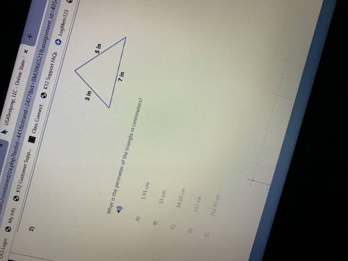 What is the perimeter of the triangle in centimeters