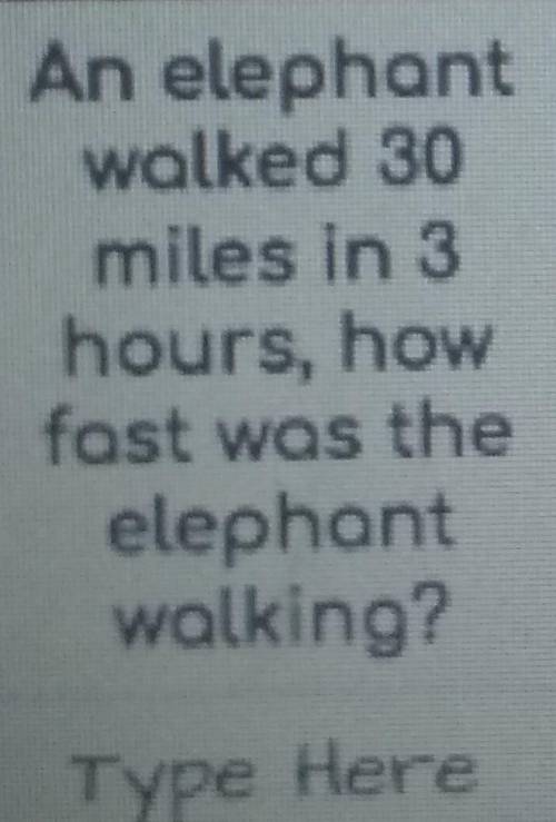 An elephant walked 30 miles in 3 hours ,how fas was the elphant walking?
