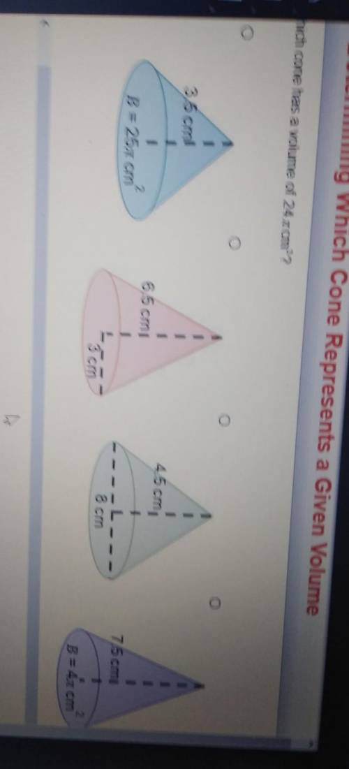 Which cone has a volume of 24 cm?