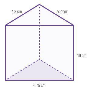The following triangular prism has a base that is a right triangle.Draw or describe the net of this