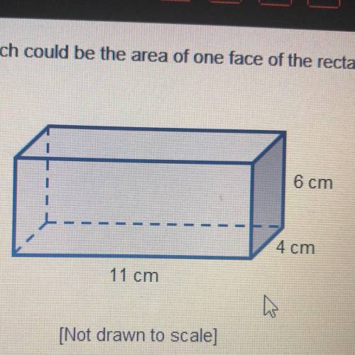 Which could be the area of one face of the rectangular prism select three options 23 cm2 24 cm2 44 c