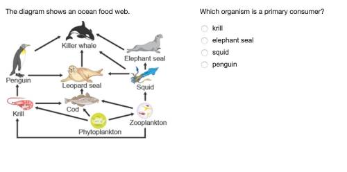 Which organism is a primary consumer? (see attached diagram, please explain answer) krill elephant s