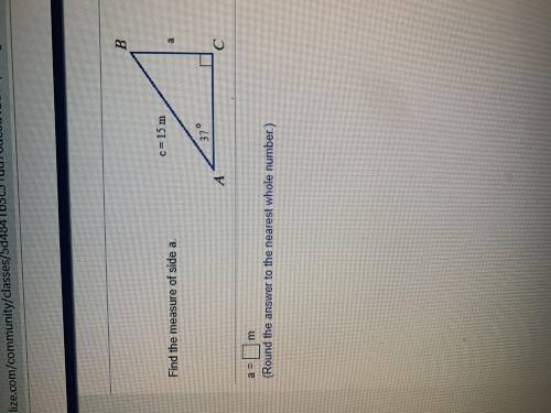 Please help I am stuck on this question