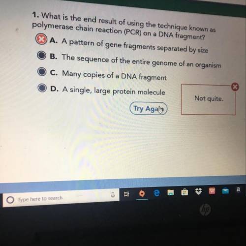 What is the end result of using a technique known as polymerase chain reaction is it B,C, OR D???