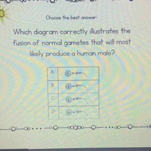 #20. Choose the best answer