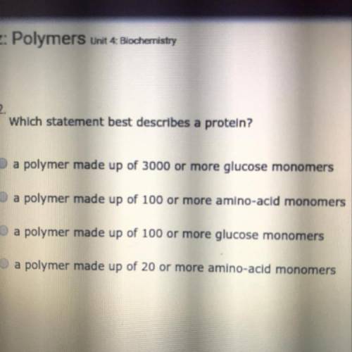 Which statement best describes a protein?