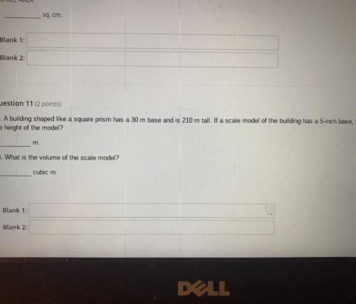 Pls answer this easy question 7th grade math