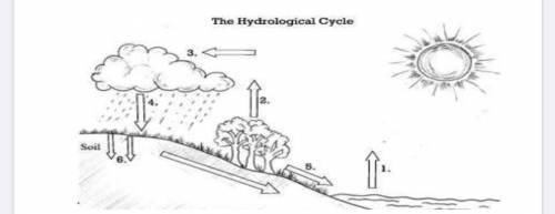 Label the water cycle  1. 2. 3. 4. 5. 6.