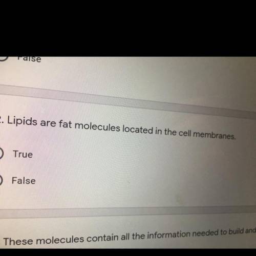 Lipids are fat membranes located in the cell membrane.  True or false.