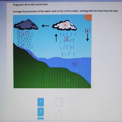 Drag Each title to the correct box. Arrange the processes of the water cycle in the correct order, s