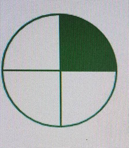 The circle below represents one whole.What percent is represented by the shaded area?