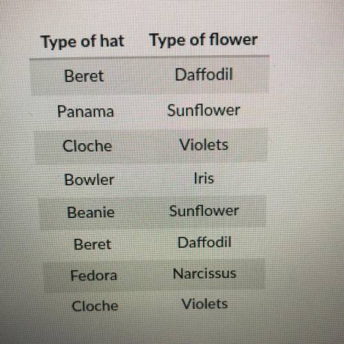 The table compares the hats worn by each customer in a flower shop and the flowers that the customer
