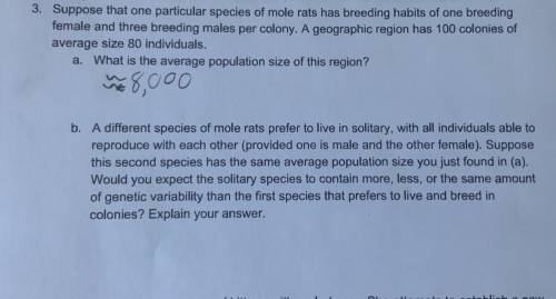 Would you expect the solitary species to contain more, less, or same amount of genetic variability t