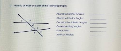 Identify at least one pair of the following angles: