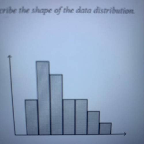Describe the shape of the data distribution. 1. negatively skewed  2. symmetric  3. positively skewe