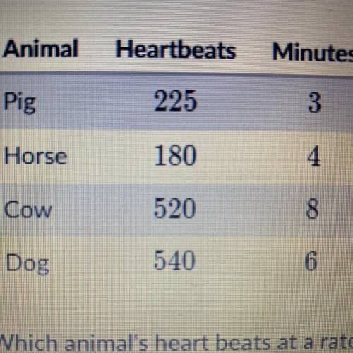 The following table shows the number of heart beats for 4 animals. For example, the pig's heart beat