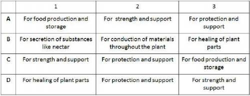 This chart shows the types of ground tissue and their functions. Which row (A, B, C, or D) best matc
