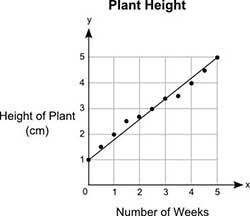 The graph shows the height, y, in centimeters, of a plant after a certain number of weeks, x. Donna