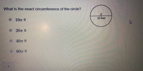 What is the exact circumference of the circle?