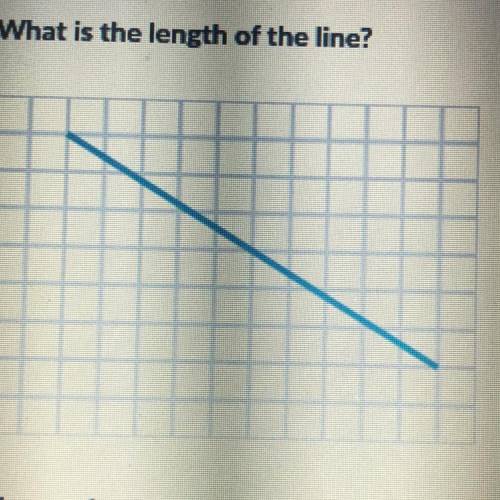 What is the length of the line
