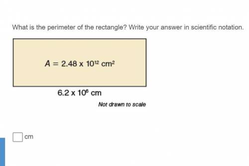 What is the perimeter of the rectangle? Write your answer in scientific notation. Thank you!