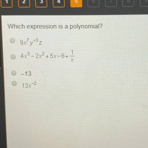 Which expression is a polynomial?