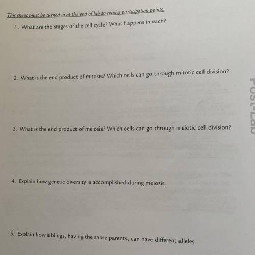 Can someone help me answer these five questions, please??