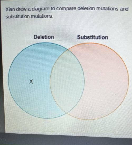 Xian drew a diagram to compare deletion mutations and substitution mutations. Which label belongs in